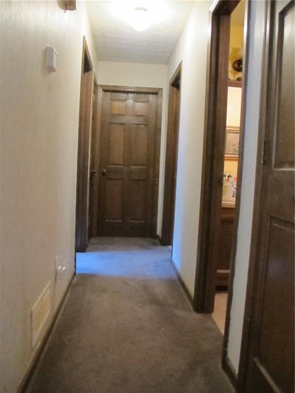 2494 Bronco Trail