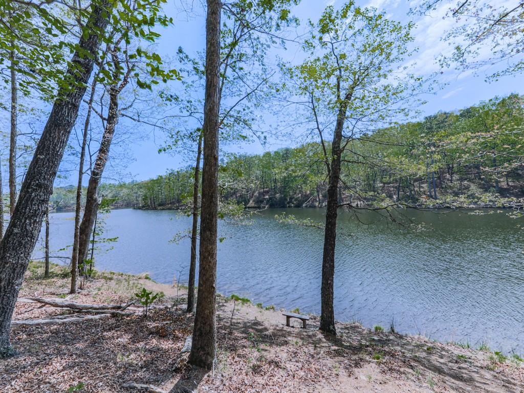 397 Lakeside Court, Canton, Georgia image 38