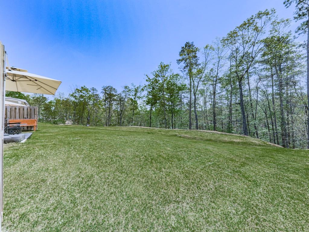 397 Lakeside Court, Canton, Georgia image 30