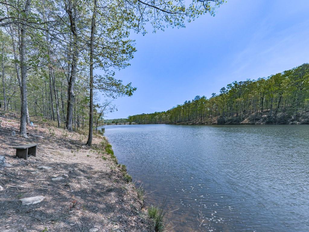 397 Lakeside Court, Canton, Georgia image 37
