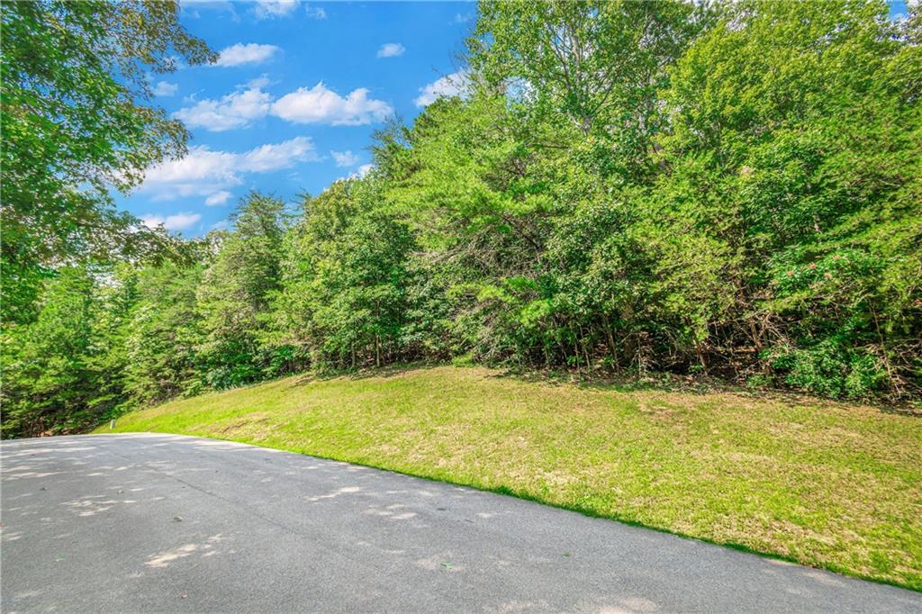 LT104 Mountain Creek Hollow Drive