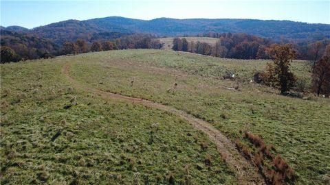 Homes For Sale - 1350 Stivers Road<br/> Jasper, GA 30143