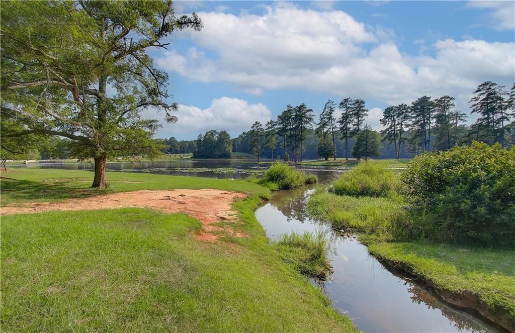 Lot 37 Saddleridge Trail, Senoia, Georgia image 43