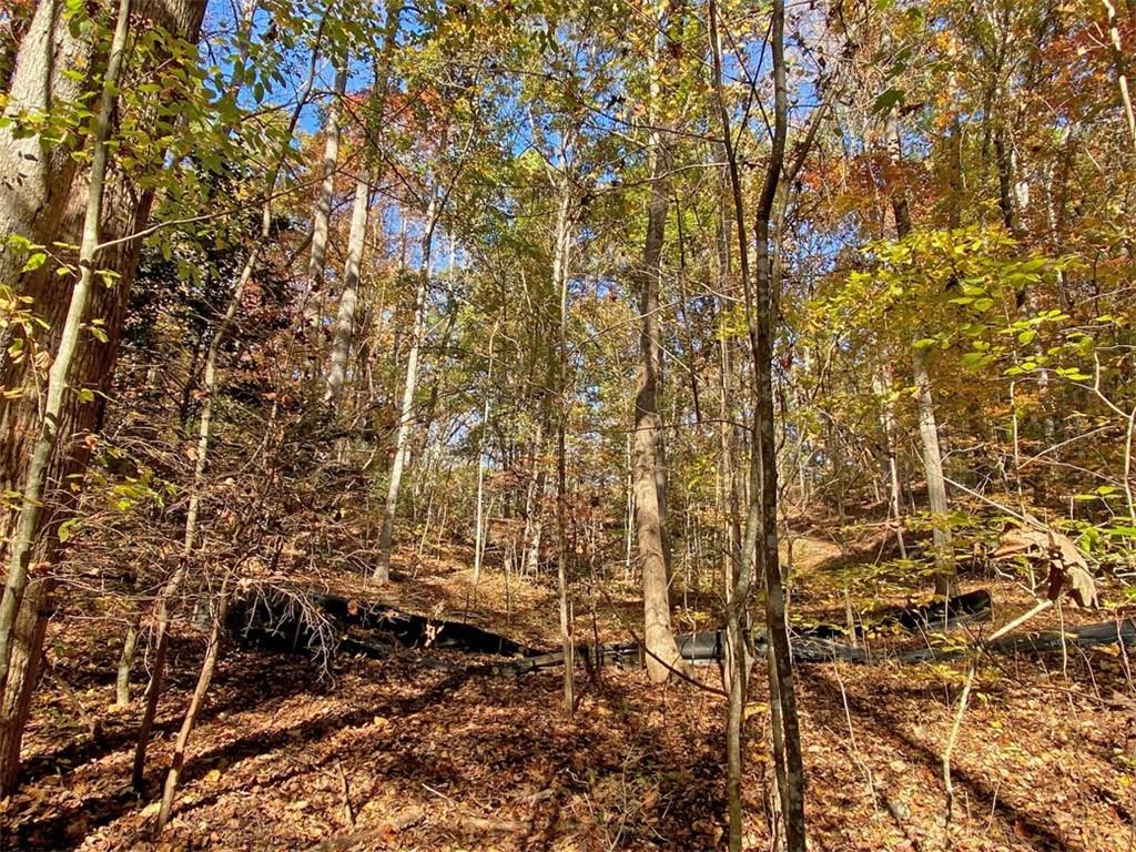 1.2ac Old River Road, Dahlonega, Georgia image 1