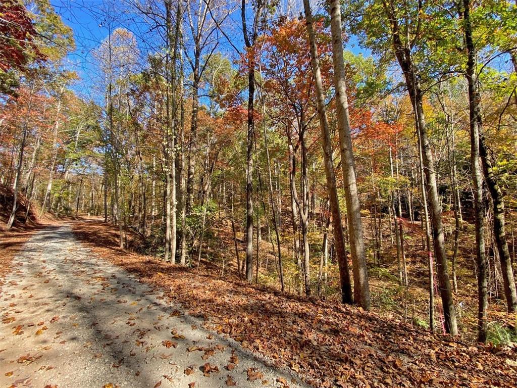 1.2ac Old River Road, Dahlonega, Georgia image 3