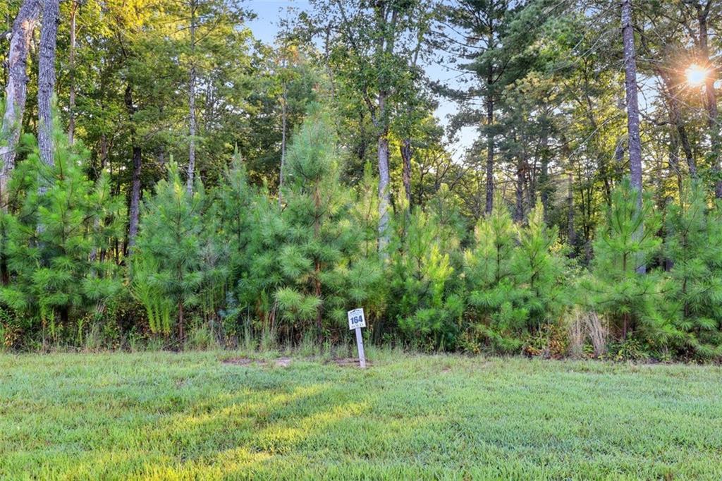 Oakwood Way, Lot 164, Blairsville, Georgia image 4