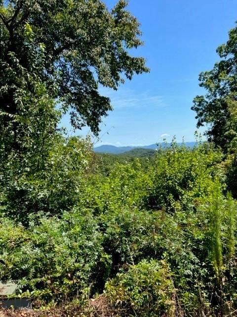 Vacant Land For Sale - LT 15 Red Tail Lane<br/> Union County, Blairsville, GA 30512