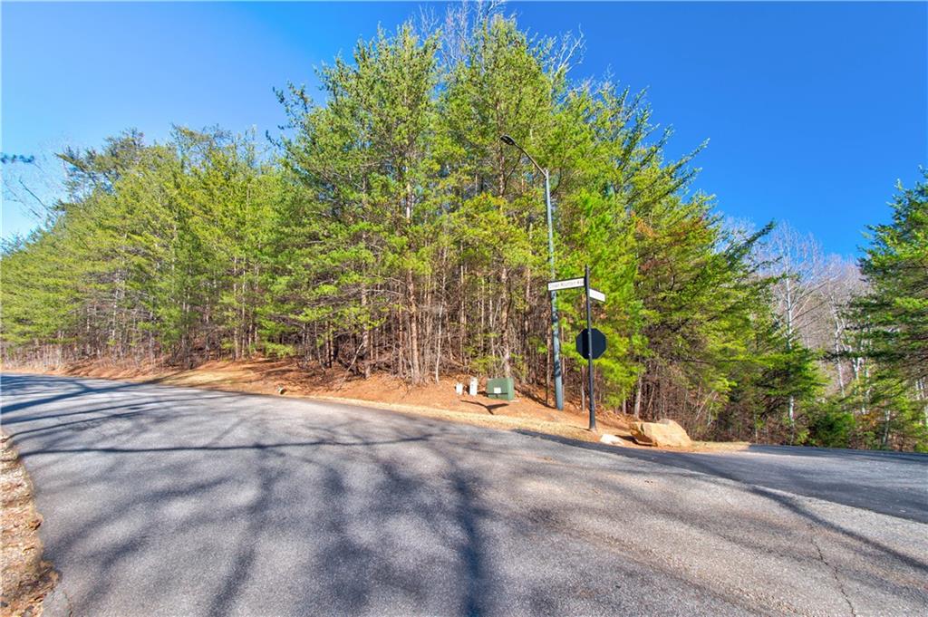 Placer Mining Road, Dahlonega, Georgia image 3