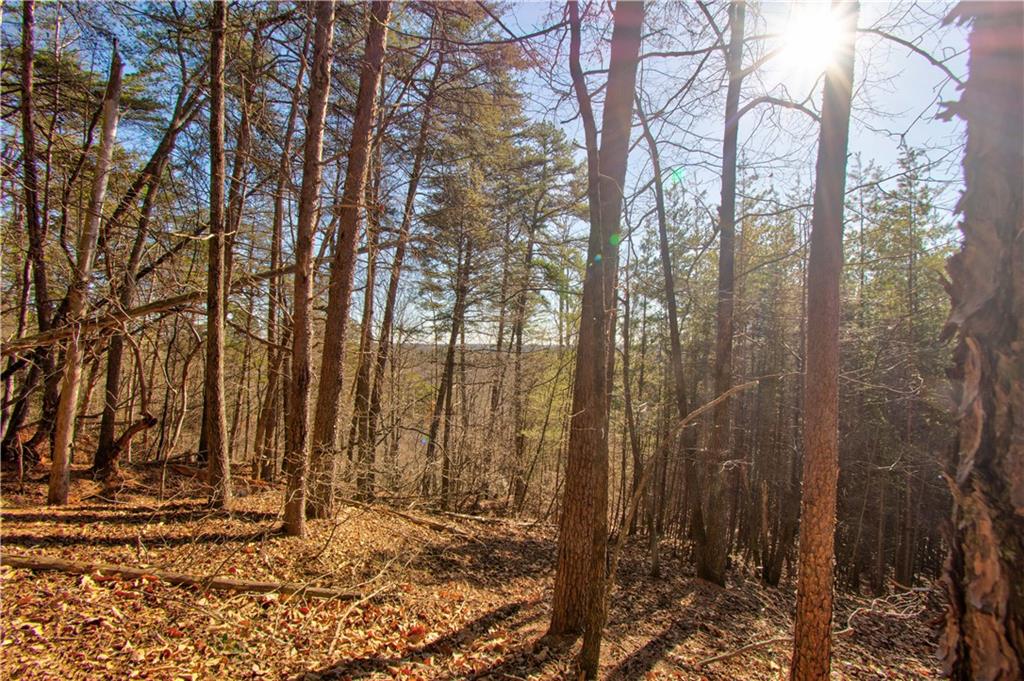 Placer Mining Road, Dahlonega, Georgia image 5