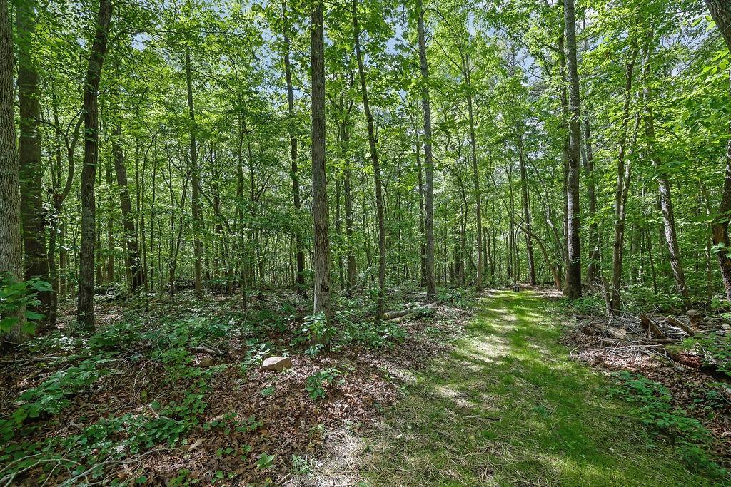 170 Barrel Way, Ball Ground, Georgia image 32