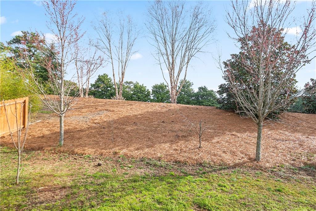 2471 Arnold Palmer Way, Duluth, Georgia image 43