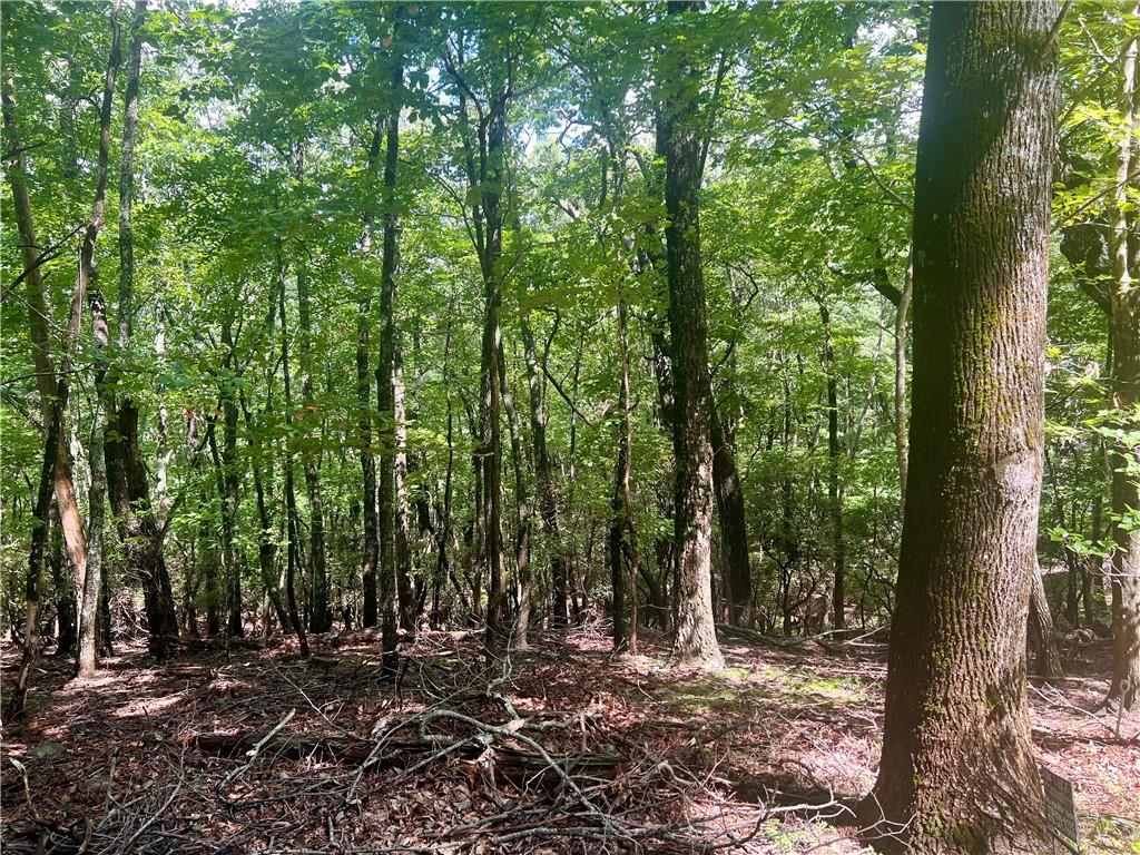 Build Your Mountain Dream Home in Bent Tree
Nestled at the end of a quiet cul-de-sac, this wooded lot offers the perfect blend of privacy and convenience in the sought-after mountain community of Bent Tree. Ideally located near the front gate, you’ll enjoy quick access to the community’s wealth of amenities while still savoring the peaceful charm of a tucked-away setting surrounded by hardwoods and mountain foliage.
With its gentle topography and natural beauty, this lot provides an excellent canvas for your custom home—whether you envision a cozy mountain retreat or a spacious year-round residence.
Living in Bent Tree means more than owning property; it’s a lifestyle. Just minutes from your door, you’ll find a 110-acre lake with a beach and boat ramp, an 18-hole championship golf course, swimming pools, tennis and pickleball courts, a dog park, playground, hiking trails, and the Tavern at the 19th Hole for dining with a view. The community also hosts an active social calendar with fitness classes, concerts, craft groups, and year-round events.
This cul-de-sac lot offers a rare opportunity to enjoy both tranquility and easy access in one of North Georgia’s most welcoming mountain neighborhoods. Don’t miss your chance to build your dream home in Bent Tree.
Please note: All real estate clients and customers must be accompanied by their real estate agent to enter the Bent Tree gate.
