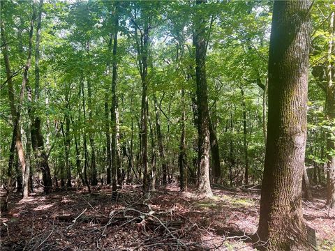 Vacant Land For Sale - 750 Tee Court<br/> Jasper, GA 30143