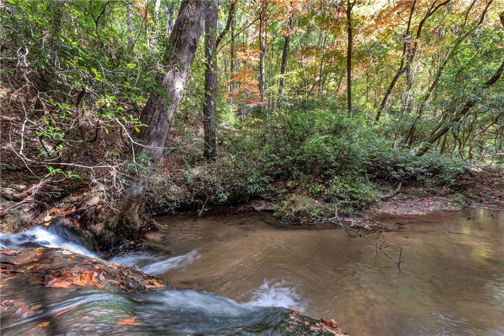 LOT 12 Rockhouse Crossing, Demorest, Georgia image 7