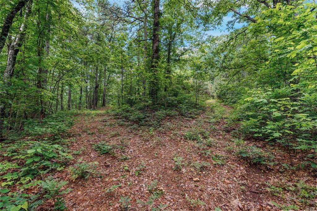 1607 Gold Mine Road, Dallas, Georgia image 24