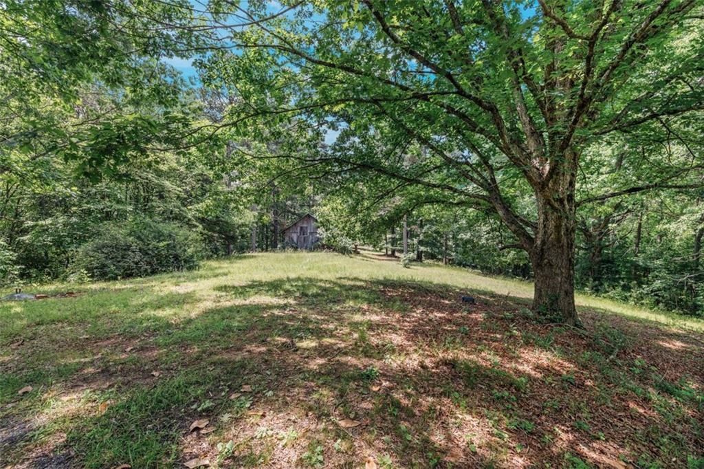 1607 Gold Mine Road, Dallas, Georgia image 10