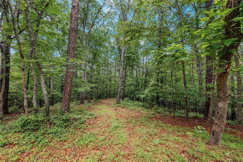 1607 Gold Mine Road, Dallas, Georgia image 26