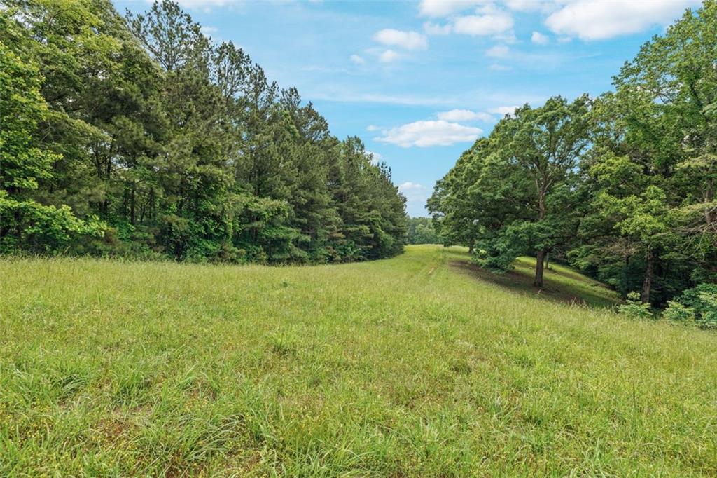 1607 Gold Mine Road, Dallas, Georgia image 30