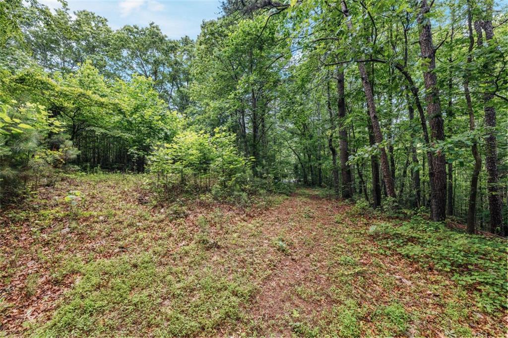 1607 Gold Mine Road, Dallas, Georgia image 27