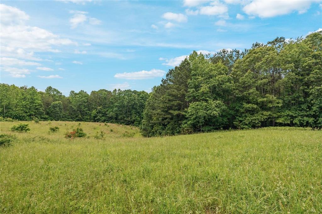 1607 Gold Mine Road, Dallas, Georgia image 31