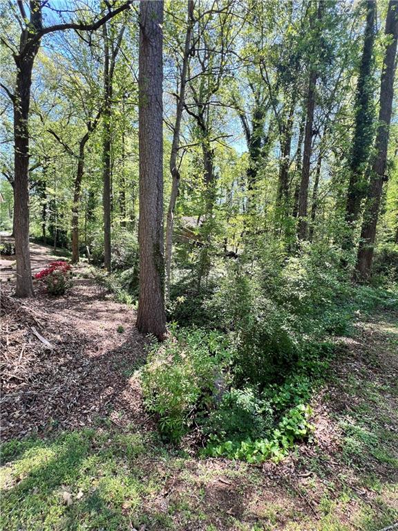 Holly Springs North - Land