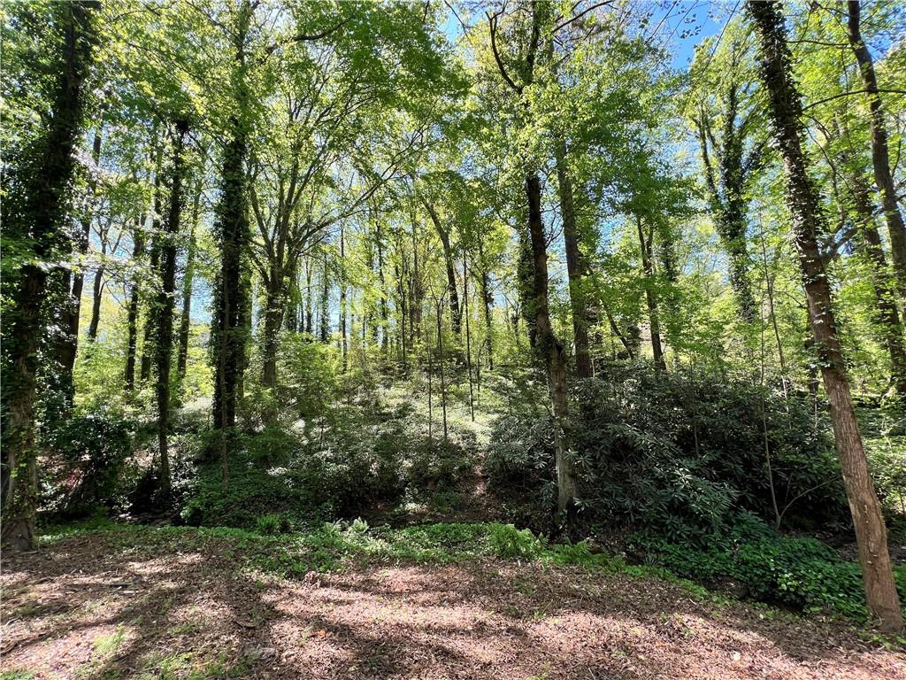 Holly Springs North - Land