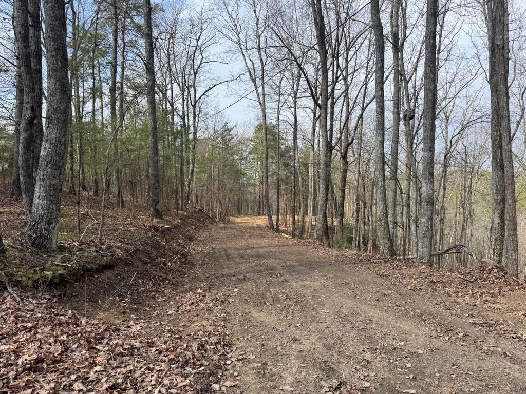 1450 Hanna Drive, Ranger, Georgia image 3