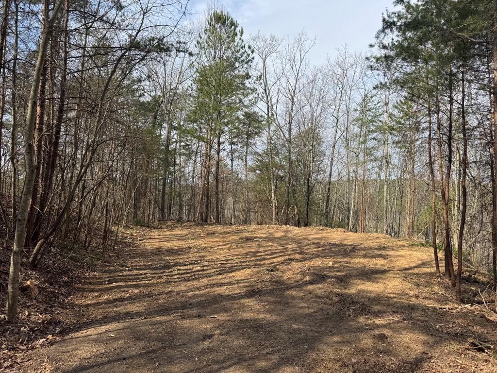 1450 Hanna Drive, Ranger, Georgia image 2