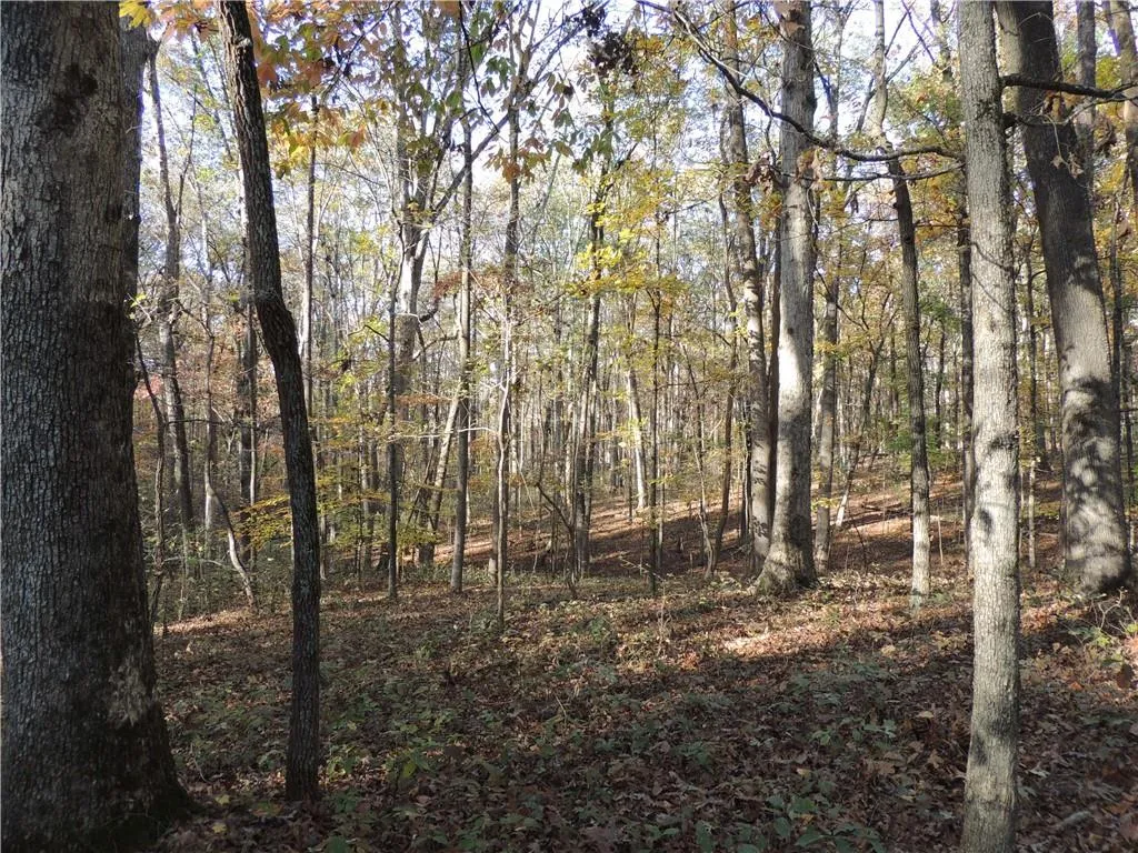 Milton, Georgia 30004, United States, ,Land,Pending,31584