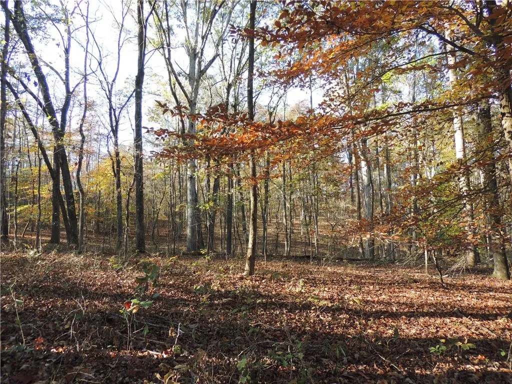 Milton, Georgia 30004, United States, ,Land,Pending,31584