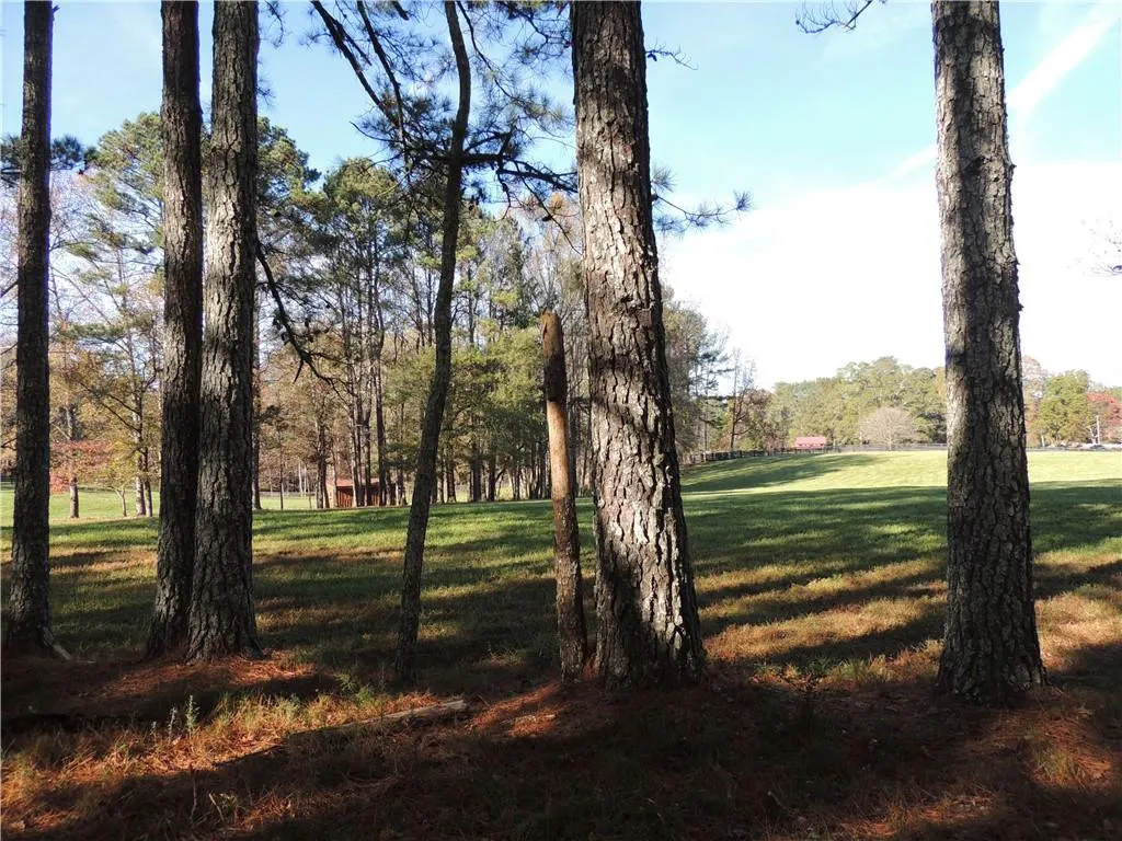 Milton, Georgia 30004, United States, ,Land,Pending,31584