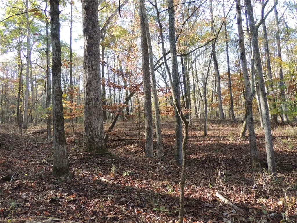 Milton, Georgia 30004, United States, ,Land,Pending,31584