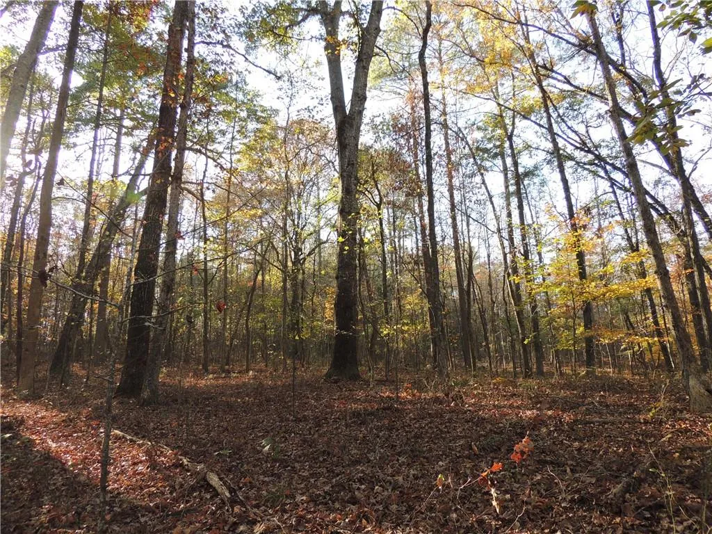 Milton, Georgia 30004, United States, ,Land,Pending,31584