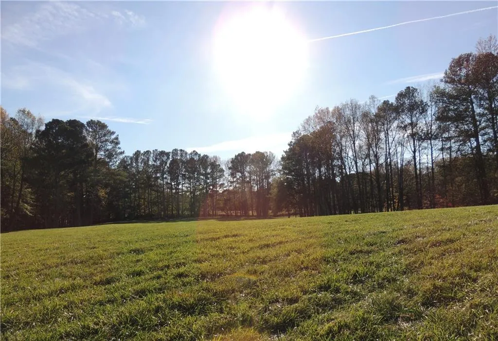 Milton, Georgia 30004, United States, ,Land,Pending,31584