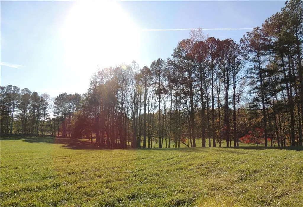 Milton, Georgia 30004, United States, ,Land,Pending,31584