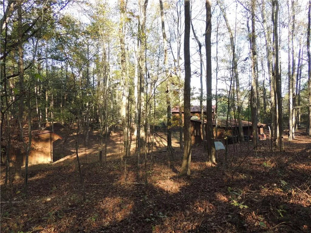 Milton, Georgia 30004, United States, ,Land,Pending,31584