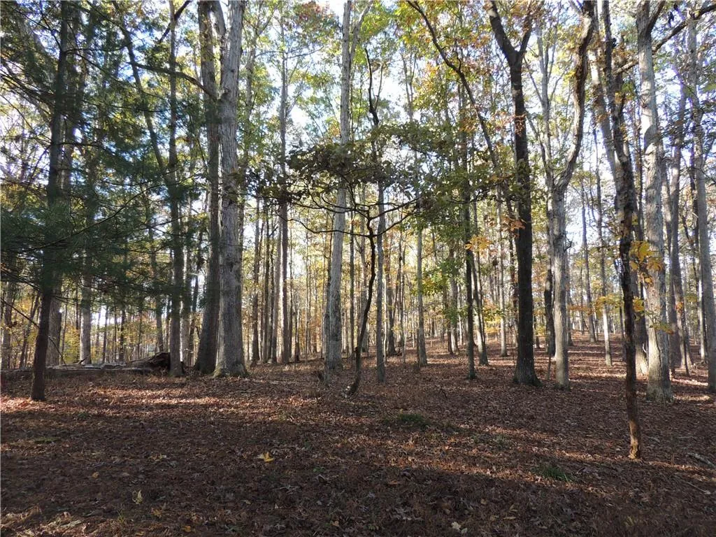 Milton, Georgia 30004, United States, ,Land,Pending,31584