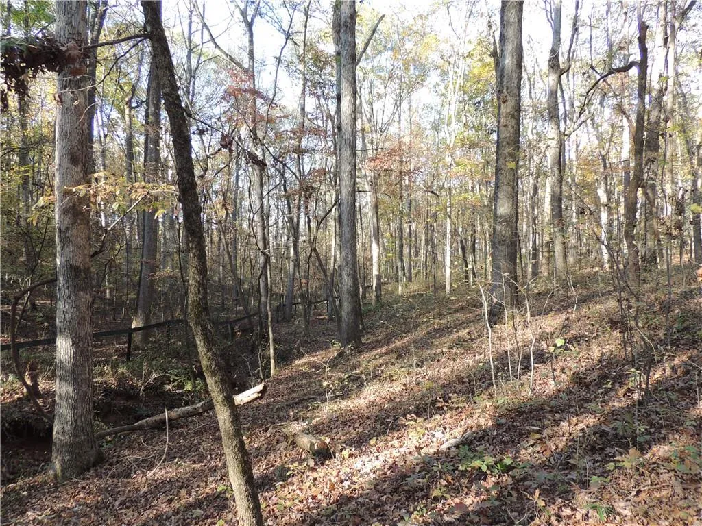 Milton, Georgia 30004, United States, ,Land,Pending,31584