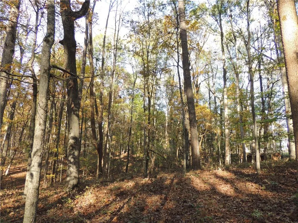 Milton, Georgia 30004, United States, ,Land,Pending,31584