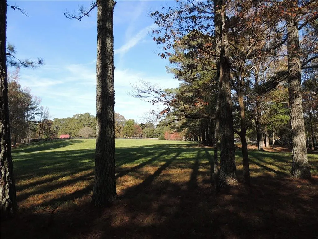 Milton, Georgia 30004, United States, ,Land,Pending,31584