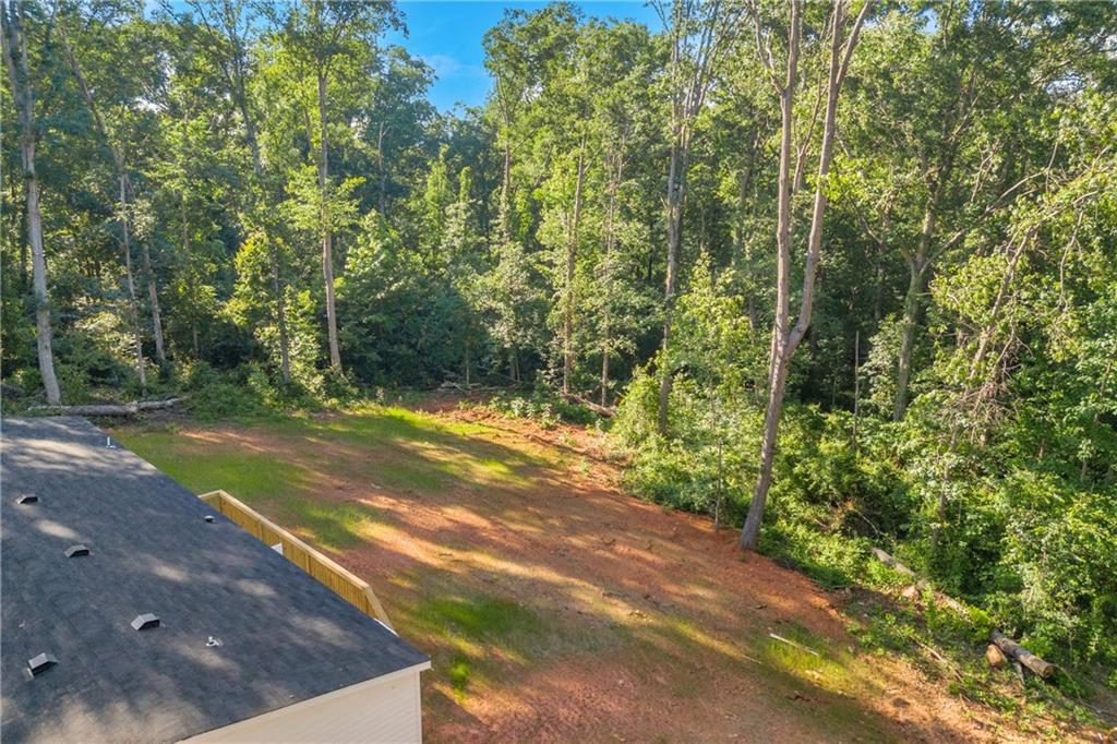 31 Dons Court, Royston, Georgia image 46