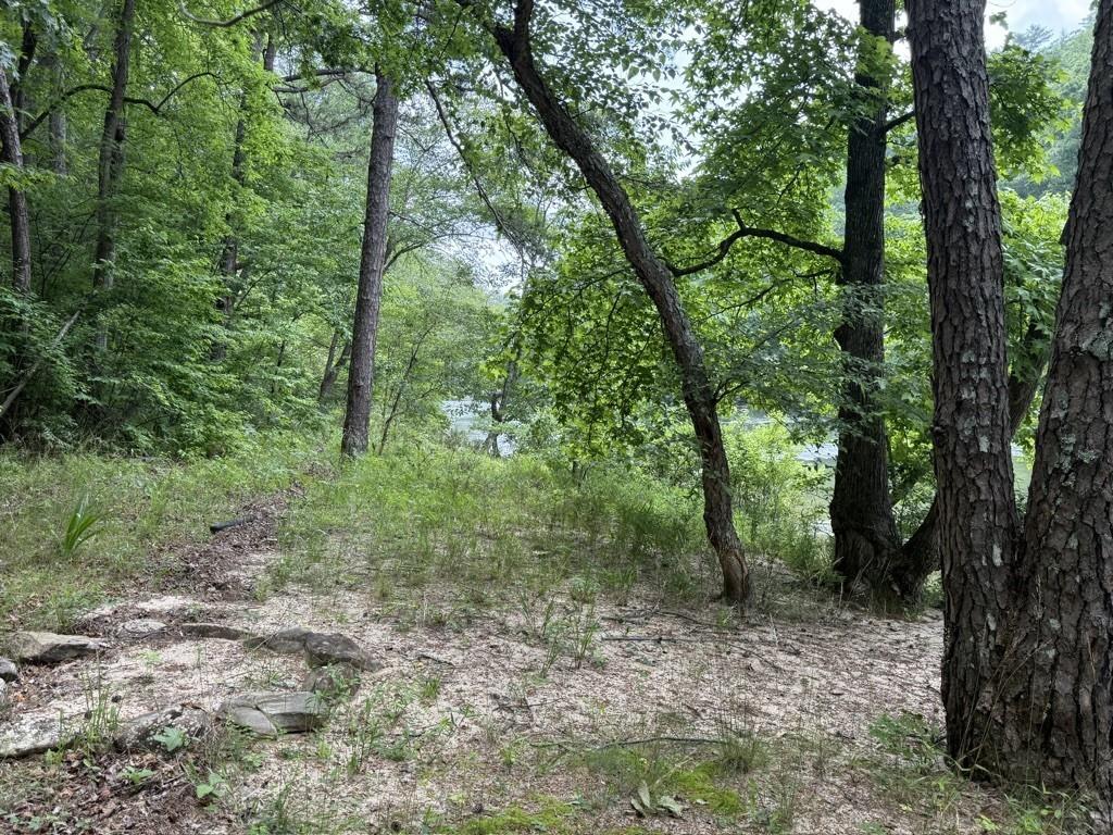 Thunderhead Trail, Demorest, Georgia image 20