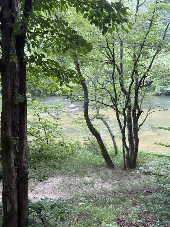 Thunderhead Trail, Demorest, Georgia image 5