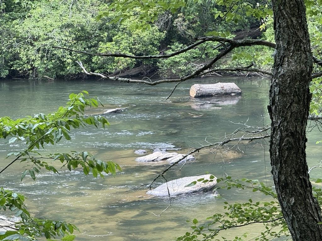 Thunderhead Trail, Demorest, Georgia image 1