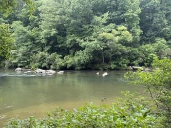 Thunderhead Trail, Demorest, Georgia image 30