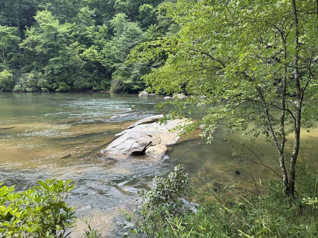 Thunderhead Trail, Demorest, Georgia image 13