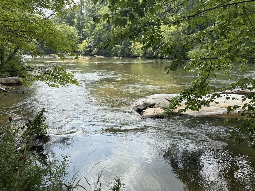 Thunderhead Trail, Demorest, Georgia image 32