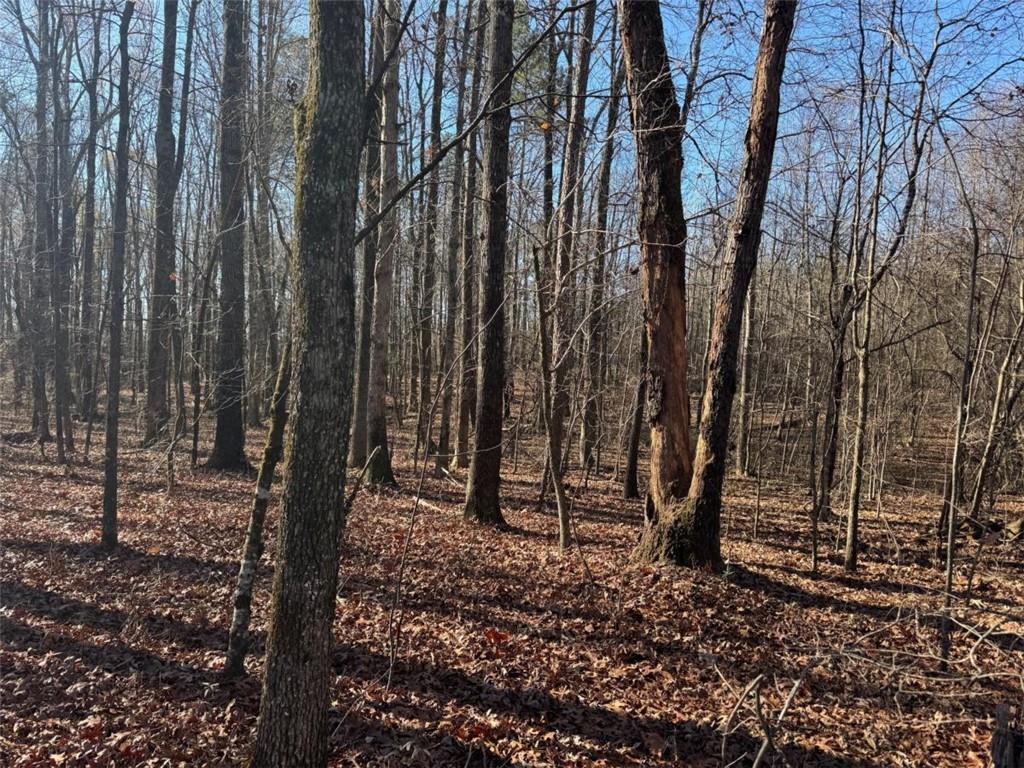 6601 Hog Mountain Hwy - Hwy 53