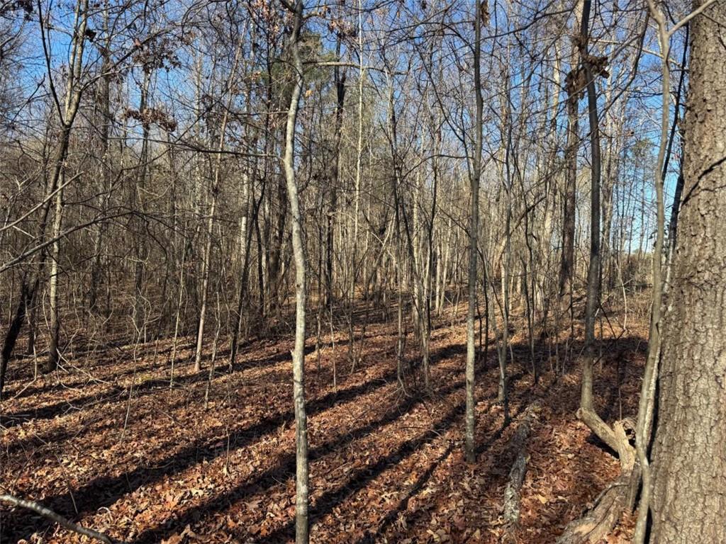 6601 Hog Mountain Hwy - Hwy 53