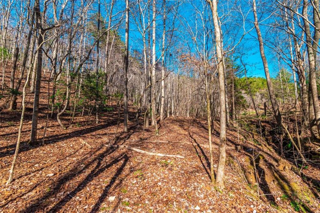 LOT 22 Meadow Brook Trail, Morganton, Georgia image 32